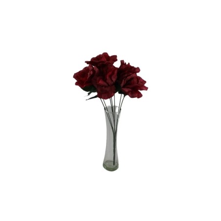 ROSAL ABIERTO VINO X7