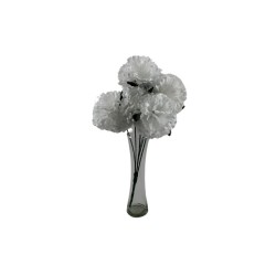 CLAVEL BLANCO X6