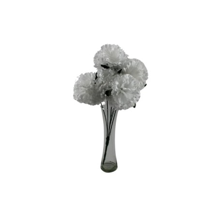 CLAVEL BLANCO X6
