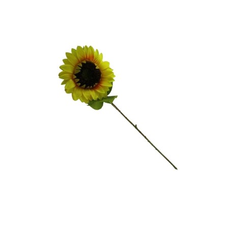 GIRASOL TALLO LARGO