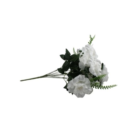 ROSAL ABIERTO BLANCO X12