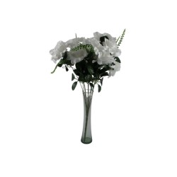 ROSAL ABIERTO BLANCO X12