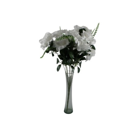 ROSAL ABIERTO BLANCO X12