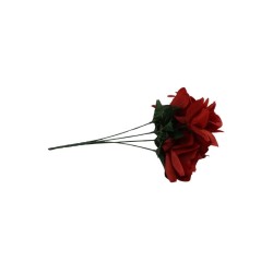 ROSAL ABIERTO ROJO RAYADO X5