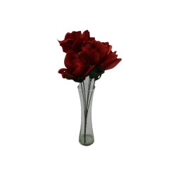 ROSAL ABIERTO ROJO RAYADO X5
