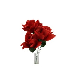 ROSAL ABIERTO ROJO RAYADO X5