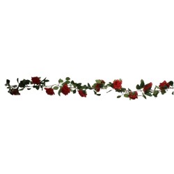 GUÍA DE ROSAS ROJA