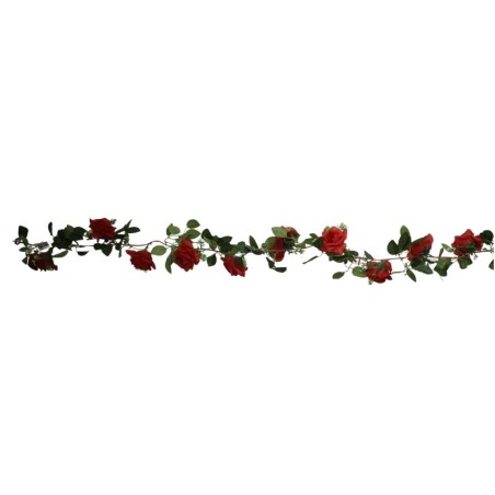 GUÍA DE ROSAS ROJA