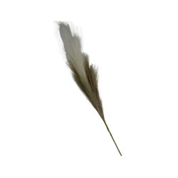 FLOR DE PAMPA CAFÉ/BLANCO