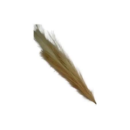 FLOR DE PAMPA BEIGE DOS TONOS