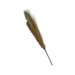 FLOR DE PAMPA BEIGE DOS TONOS