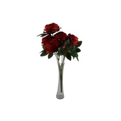 ROSAL CHINO ROJO X10