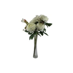 ROSAL CHINO CREMA X10