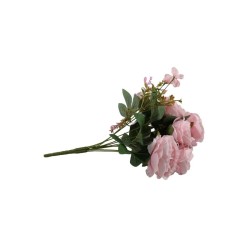 ROSAL CHINO BLUSH X10