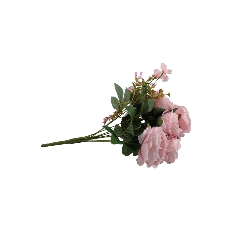 ROSAL CHINO BLUSH X10