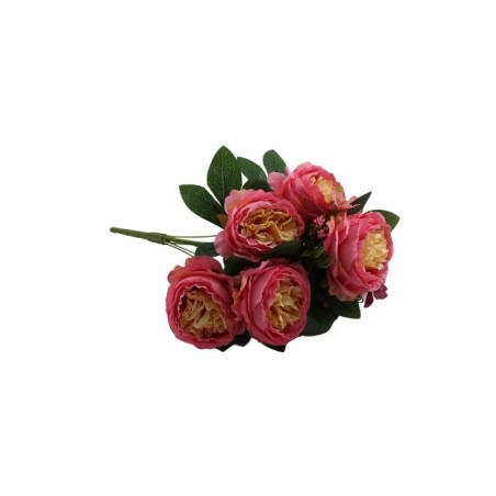 ROSAL CHINO FUCSIA X10
