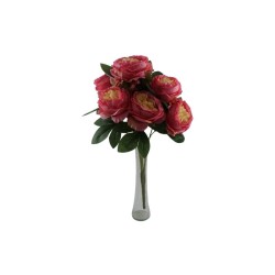 ROSAL CHINO FUCSIA X10
