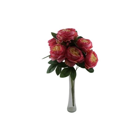 ROSAL CHINO FUCSIA X10