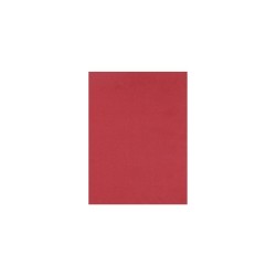FOMI LISO CARTA ROJO