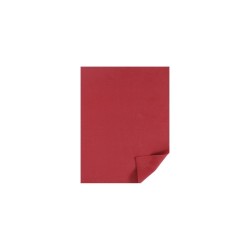 FOMI LISO CARTA ROJO