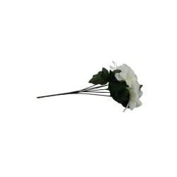 FLOR AMAPOLA BEIGE X6