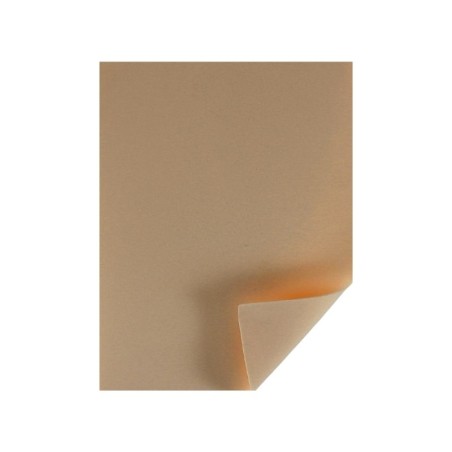 FOMI LISO CARTA CARNE