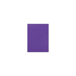 FOMI LISO CARTA MORADO