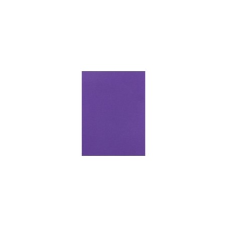 FOMI LISO CARTA MORADO