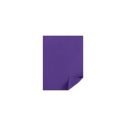 FOMI LISO CARTA MORADO