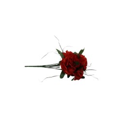 CLAVEL ROJO X7