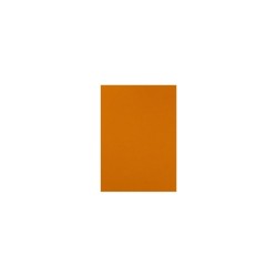 FOMI LISO CARTA NARANJA