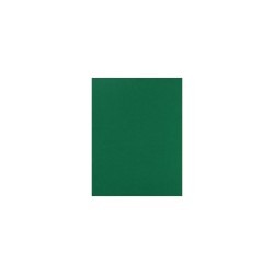 FOMI LISO CARTA VERDE BANDERA
