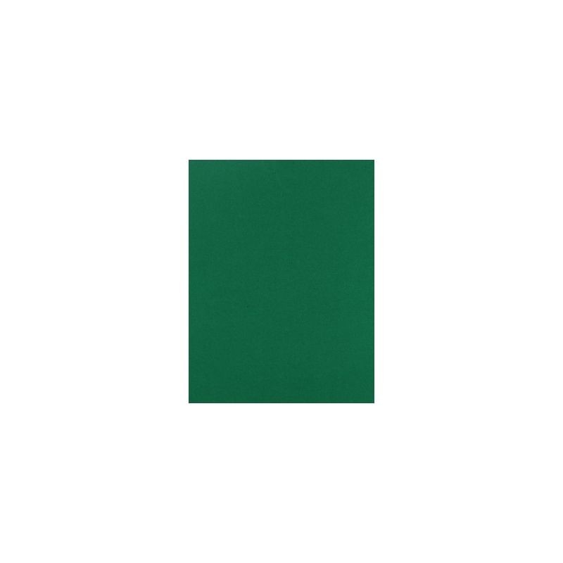 FOMI LISO CARTA VERDE BANDERA