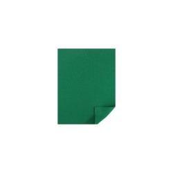 FOMI LISO CARTA VERDE BANDERA