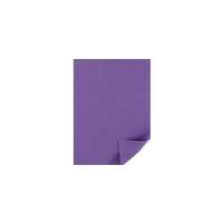 FOMI LISO CARTA LILA