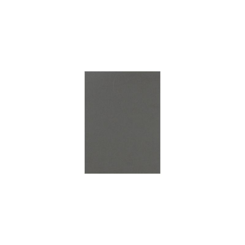 FOMI LISO CARTA GRIS