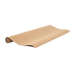 CARTON CORRUGADO MICRO