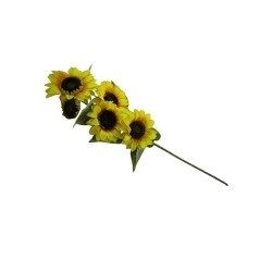 GIRASOL X5 TALLO LARGO