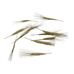 ESPIGA DE TRIGO