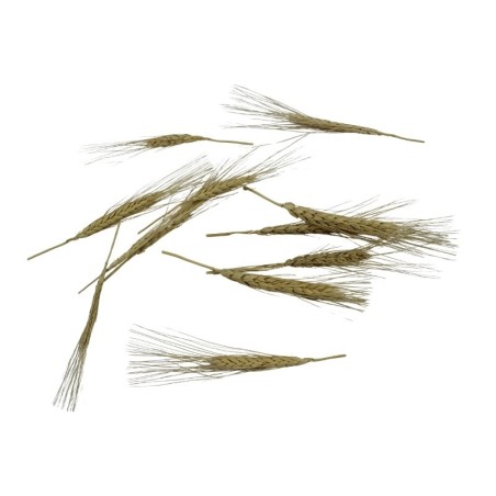 ESPIGA DE TRIGO