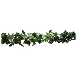 GUÍA VERDE FRONDOSA 1.8MTS