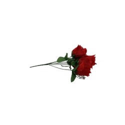 ROSAL BOTÓN ROJO X6
