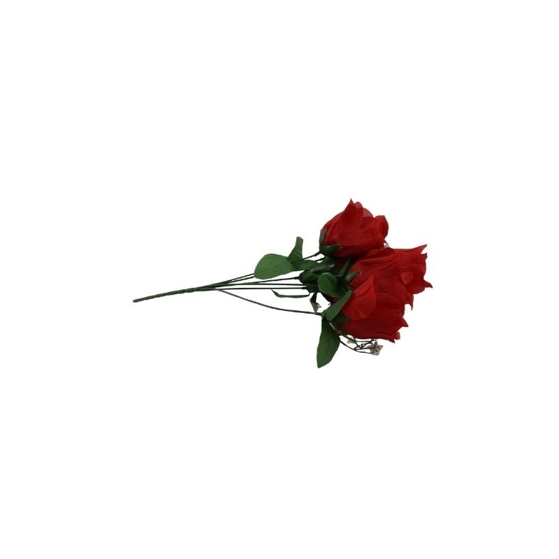 ROSAL BOTÓN ROJO X6