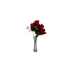 ROSAL BOTÓN ROJO X6