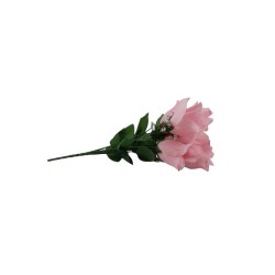 ROSAL BOTÓN ROSA X6