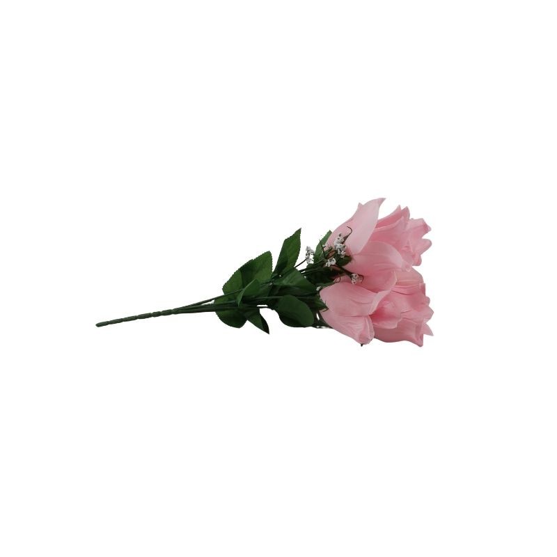 ROSAL BOTÓN ROSA X6