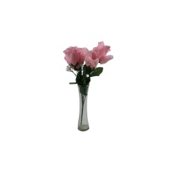 ROSAL BOTÓN ROSA X6