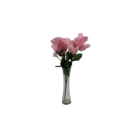 ROSAL BOTÓN ROSA X6