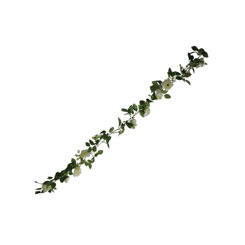 GUÍA DE ROSAS CREMA