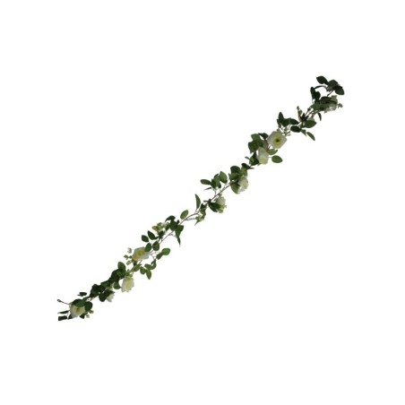 GUÍA DE ROSAS CREMA